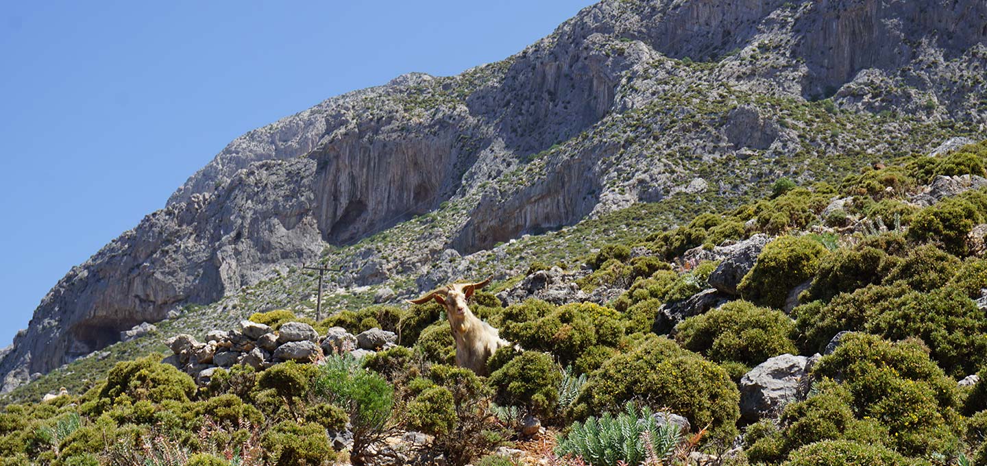 Kalymnos